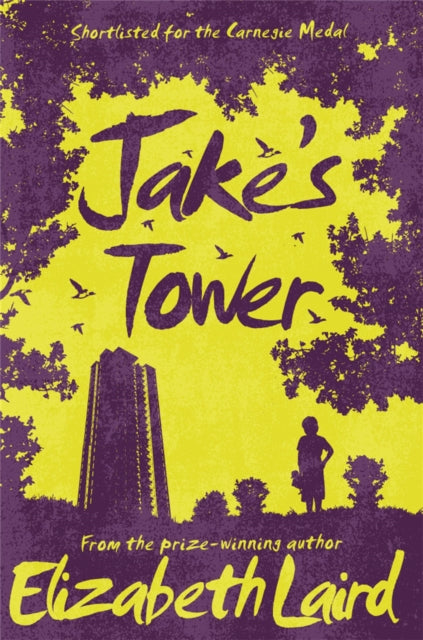Book cover of: Jake's Tower. By: Elizabeth Laird