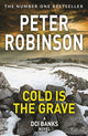 Book cover of: Cold is the Grave