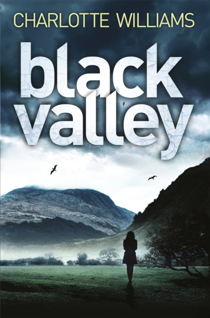 Book cover of: Black Valley. By: Charlotte Williams