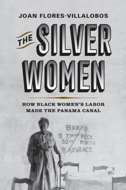 Book cover of: Silver Women. By: Joan Flores-Villalobos