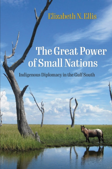 Book cover of: Great Power of Small Nations