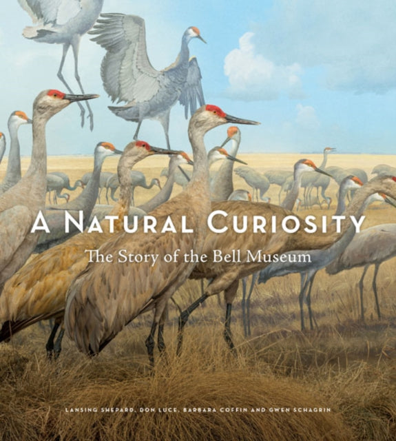 Book cover of: Natural Curiosity. By: Barbara Coffin