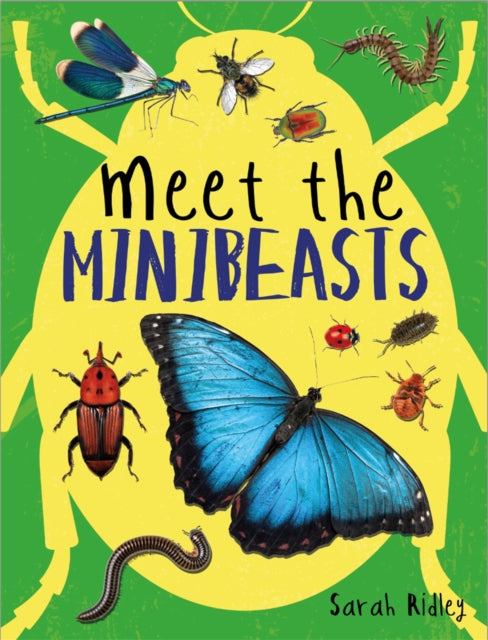Book cover of: Meet the Minibeasts. By: Sarah Ridley