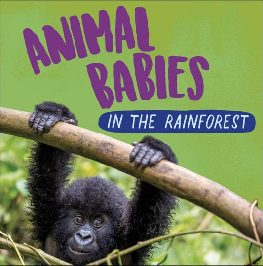 Book cover of: Animal Babies: In the Rainforest