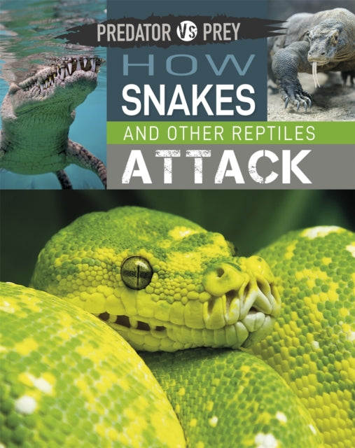 Book cover of: Predator vs Prey: How Snakes and other Reptiles Attack