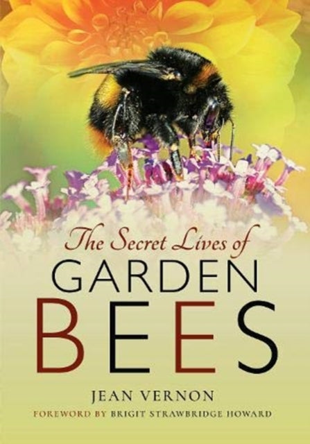 Book cover of: Secret Lives of Garden Bees. By: Jean Vernon