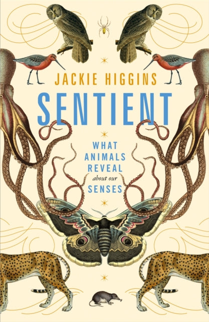 Book cover of: Sentient. By: Jackie Higgins
