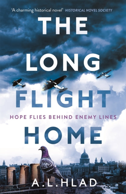 Long Flight Home