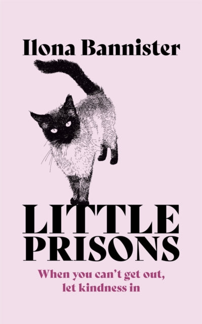 Book cover of: Little Prisons. By: Ilona Bannister