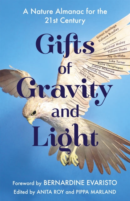 Book cover of: Gifts of Gravity and Light. By: Anita Roy