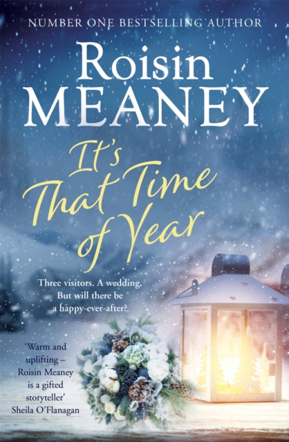 Book cover of: It's That Time of Year. By: Roisin Meaney