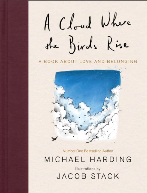 Book cover of: A Cloud Where the Birds Rise. By: Michael Harding