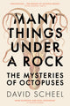 Book cover of: Many Things Under a Rock. By: David Scheel