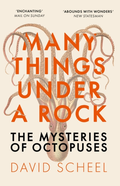 Book cover of: Many Things Under a Rock. By: David Scheel