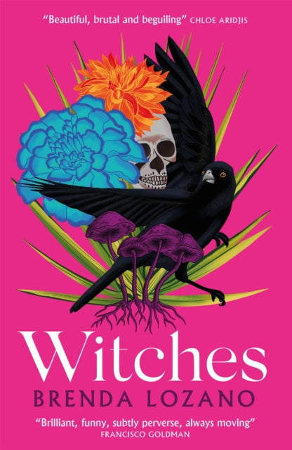 Book cover of: Witches. By: Brenda Lozano