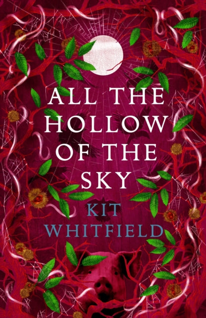Book cover of: All the Hollow of the Sky. By: Kit Whitfield