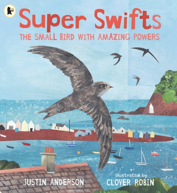 Super Swifts: The Small Bird With Amazing Powers 9781529523690 Justin Anderson