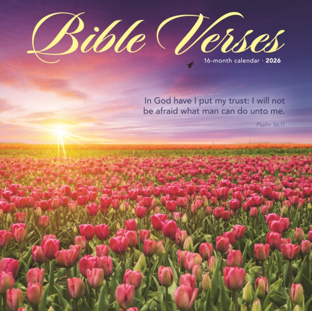 Book cover of: Bible Verses Square Wall Sunday Start Ca. By: Tangible Stationery Company