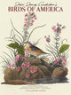 Book cover of: Audubons Birds Of America Deluxe Wall Su