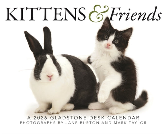 Book cover of: Kittens Friends Box Calendar 2026