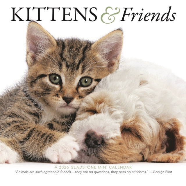 Book cover of: Kittens Friends Square Mini Sunday Start