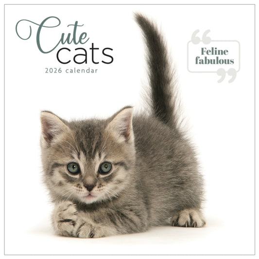 Book cover of: Cute Cats Square Wall Calendar 2026