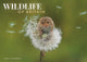 Book cover of: Wildlife Of Britain A4 Calendar 2026