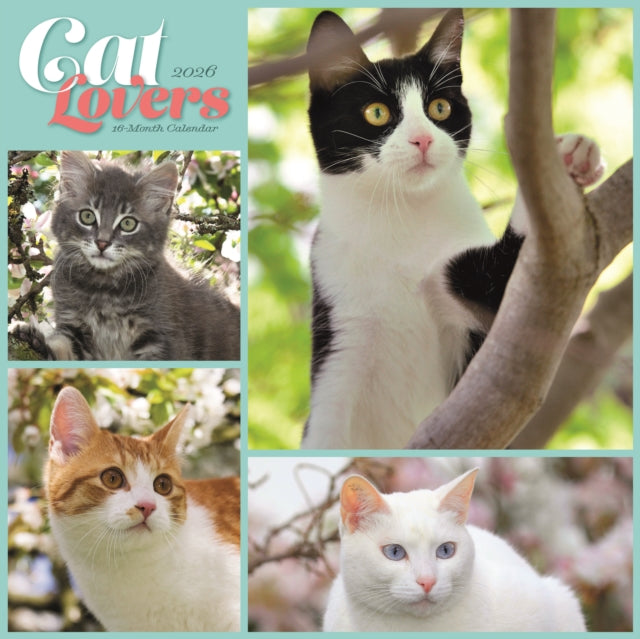Book cover of: Cat Lovers Square Wall Sunday Start Cale