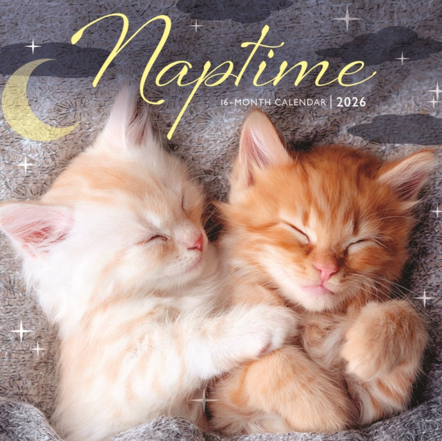 Book cover of: Naptime Square Mini Sunday Start Calenda