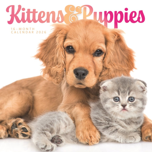 Book cover of: Kittens & Puppies Square Wall Sunday Sta