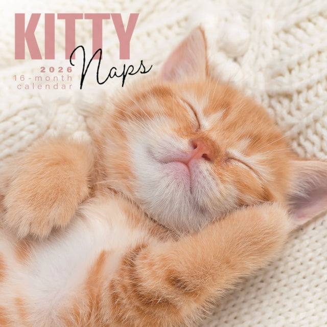 Book cover of: Kitty Naps Square Wall Sunday Start Cale
