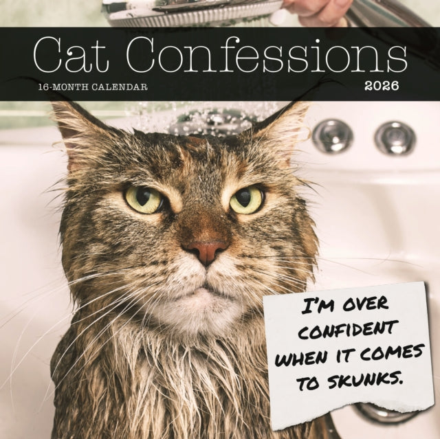 Book cover of: Cat Confessions Square Wall Sunday Start