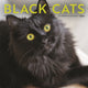 Book cover of: Black Cats Square Wall Sunday Start Cale