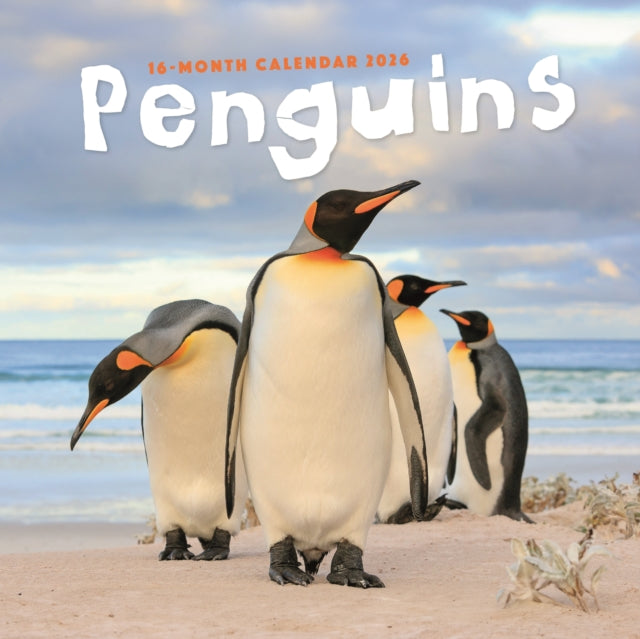 Book cover of: Penguins Square Wall Sunday Start Calend