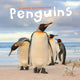 Book cover of: Penguins Square Wall Sunday Start Calend