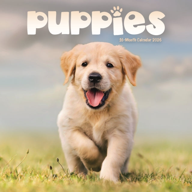 Book cover of: Puppies Square Mini Sunday Start Calenda
