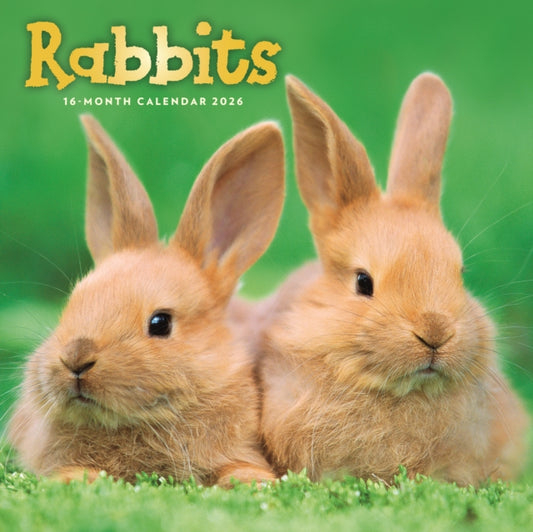 Book cover of: Rabbits Square Wall Sunday Start Calenda