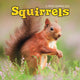 Book cover of: Squirrels Square Wall Sunday Start Calen