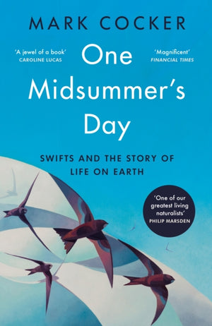 One Midsummer's Day, Swifts and the Story of Life on Earth
