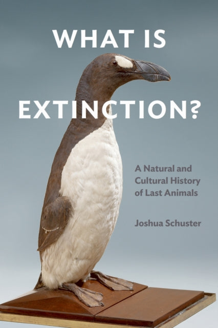 Book cover of: What Is Extinction?. By: Joshua Schuster