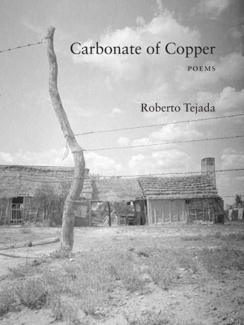 Book cover of: Carbonate of Copper. By: Roberto Tejada
