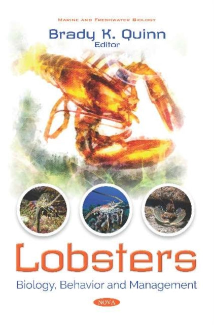 Book cover of: Lobsters. By: Brady K. Quinn