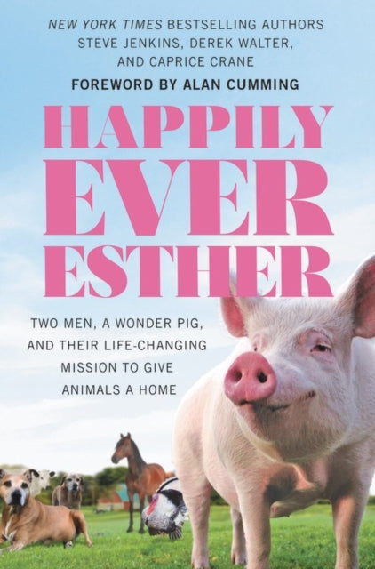 Book cover of: Happily Ever Esther. By: Steve Jenkins