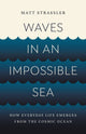 Waves in an Impossible Sea, How Everyday Life Emerges from the Cosmic Ocean 9781541603295 Matt Strassler