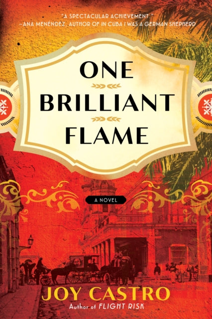 Book cover of: One Brilliant Flame. By: Joy Castro
