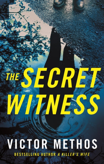 Book cover of: Secret Witness. By: Victor Methos