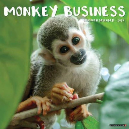 Book cover of: Monkey Business 2024 12 X 12 Wall Calendar