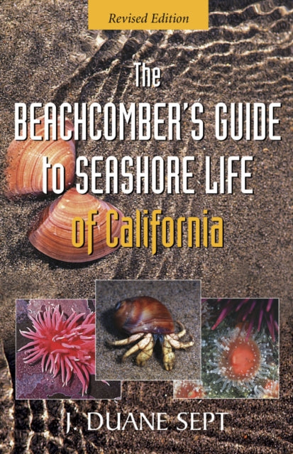 Book cover of: Beachcomber's Guide to Seashore Life of California. By: J. Duane Sept