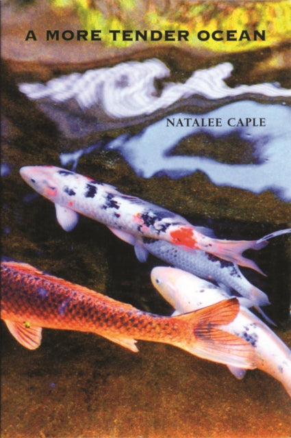 Book cover of: More Tender Ocean. By: Natalee Caple