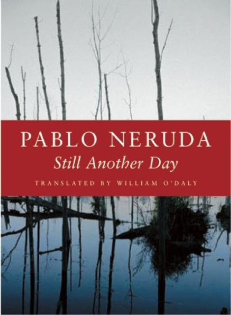 Book cover of: Still Another Day